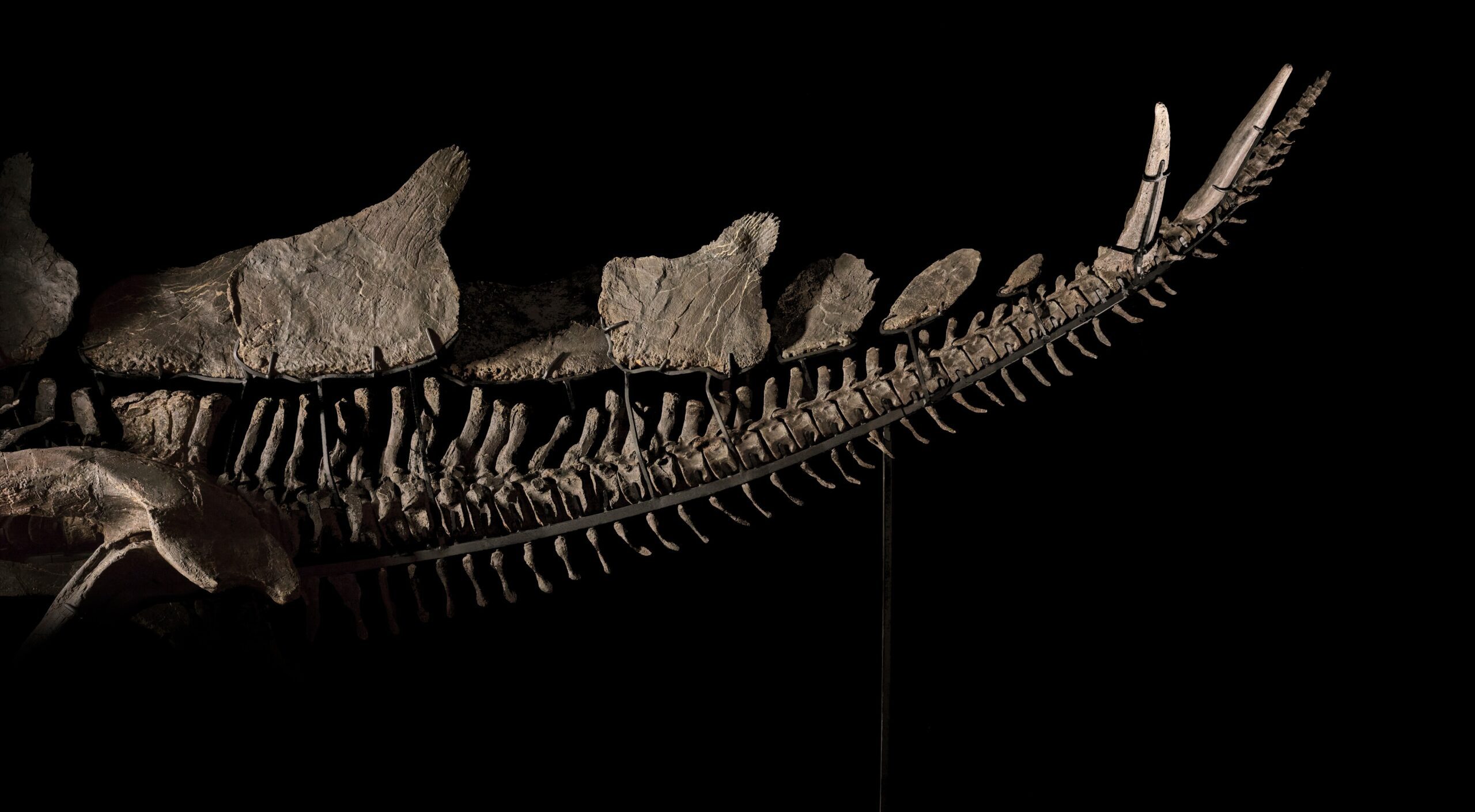 Sotheby's Md.brightspotcdn