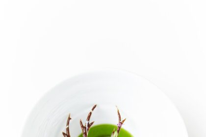 Ресторан "Герань