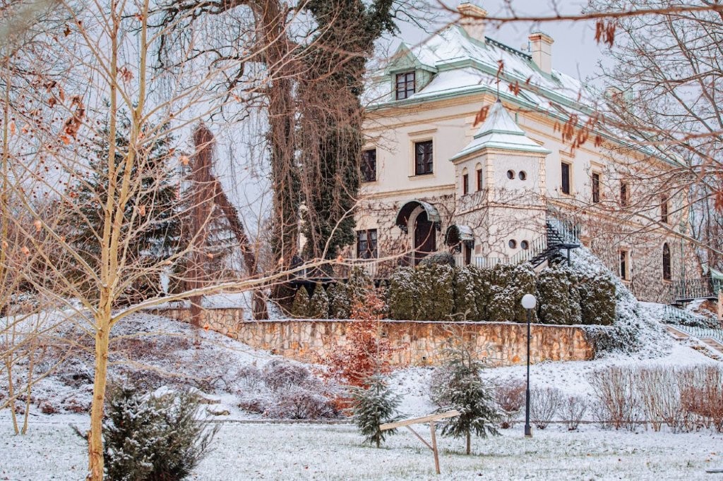 Палац Одровонж взимку