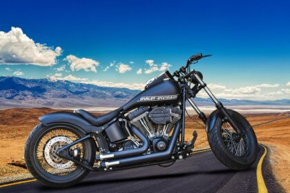 проблеми з harley davidson