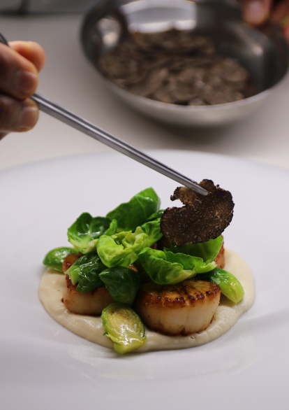 Безіменний проект (4)