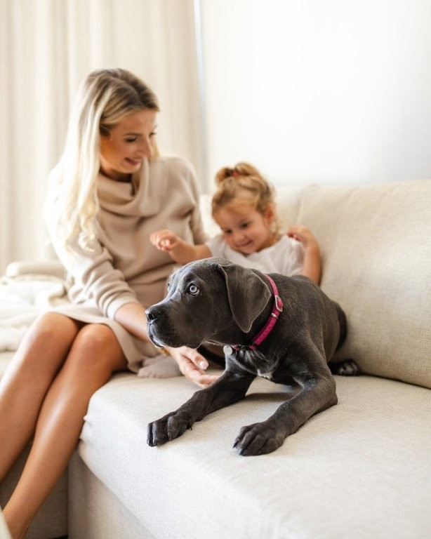 Собака в готелі Linea Mare