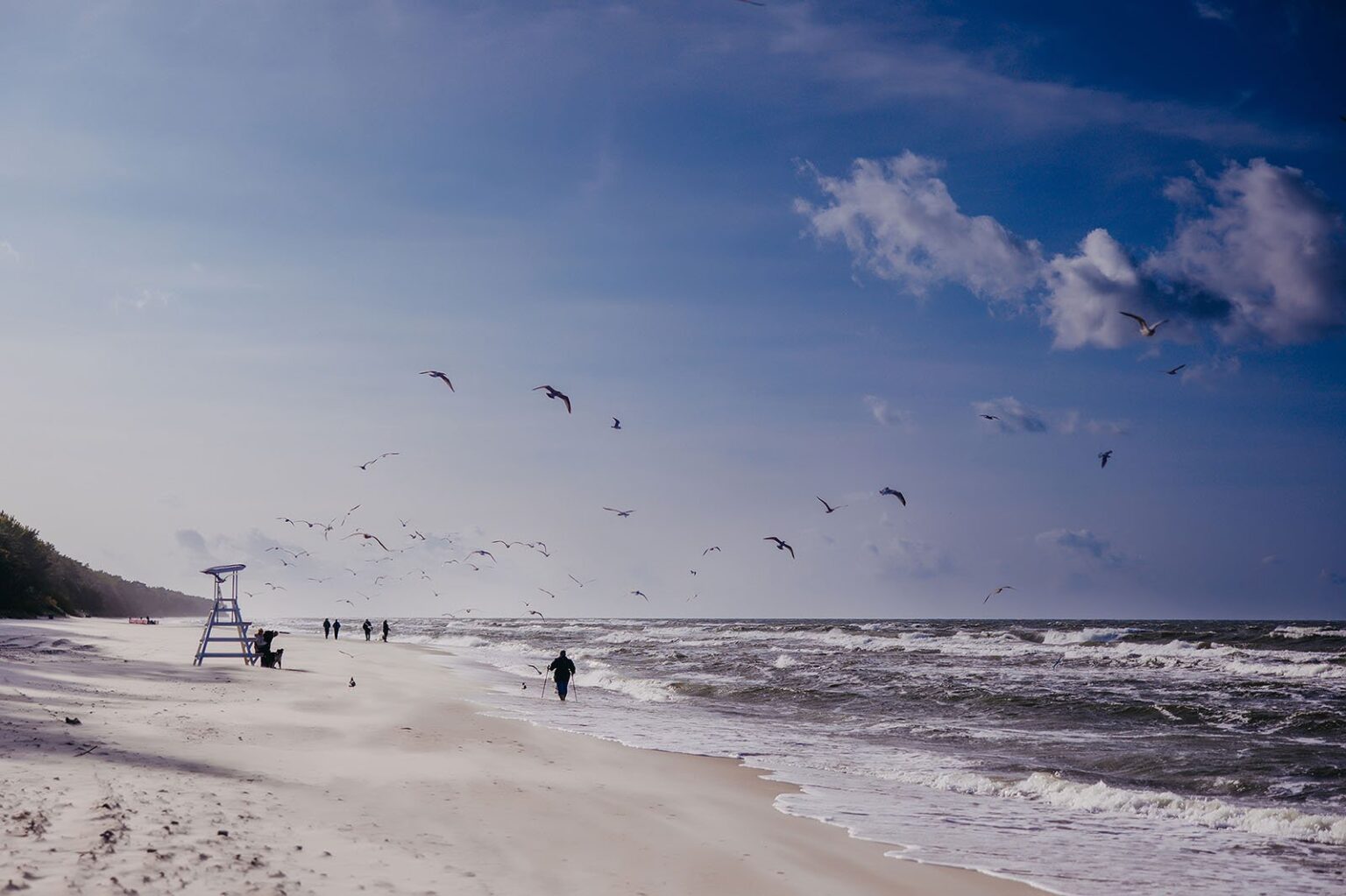 Зимові прогулянки біля моря Лінеа Маре