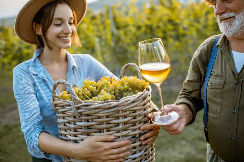 Цифровізація ринку вина в Польщі Технології Виклики Та Майбутнє