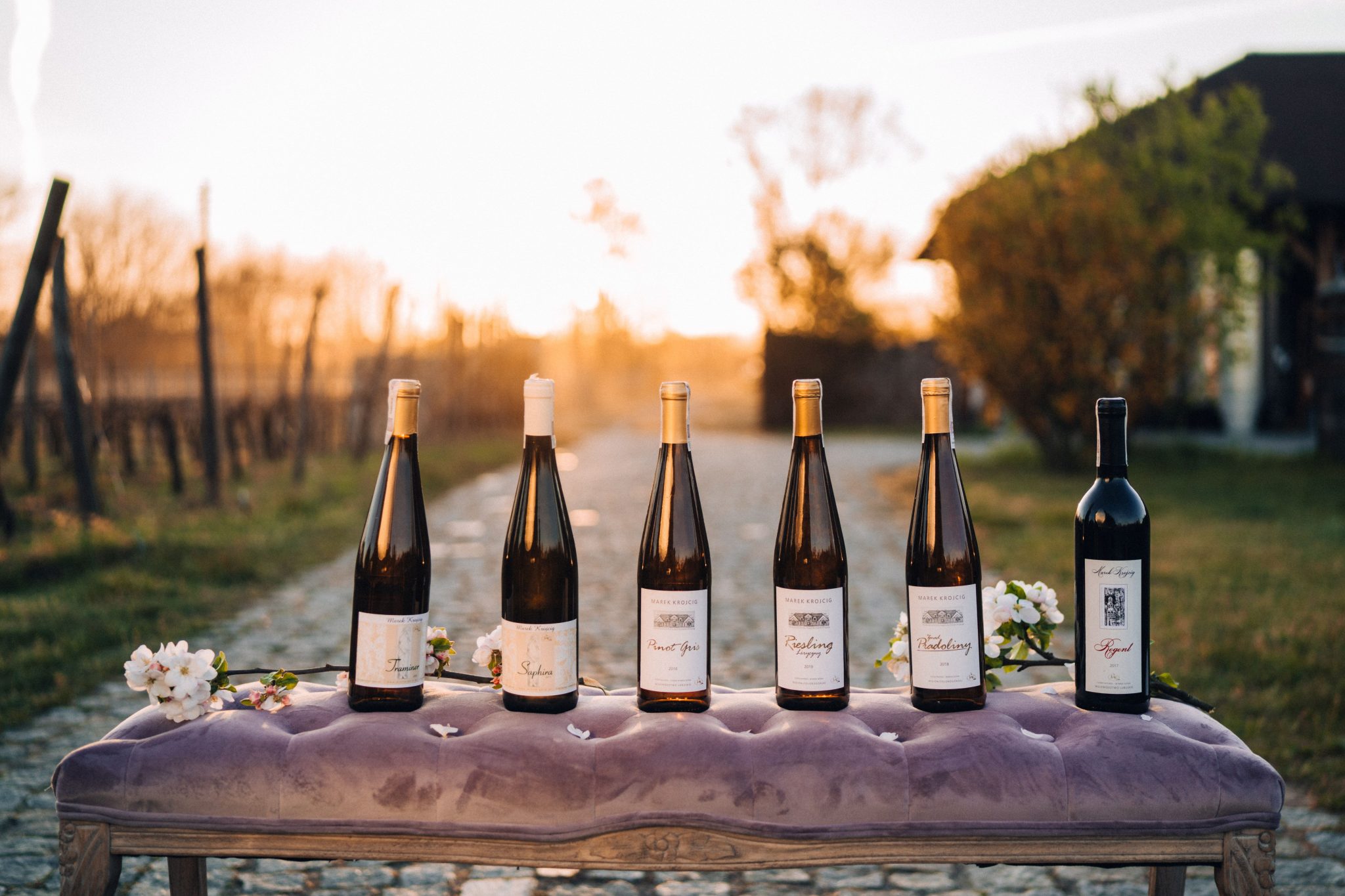 Виноградники в Зеленій Гурі