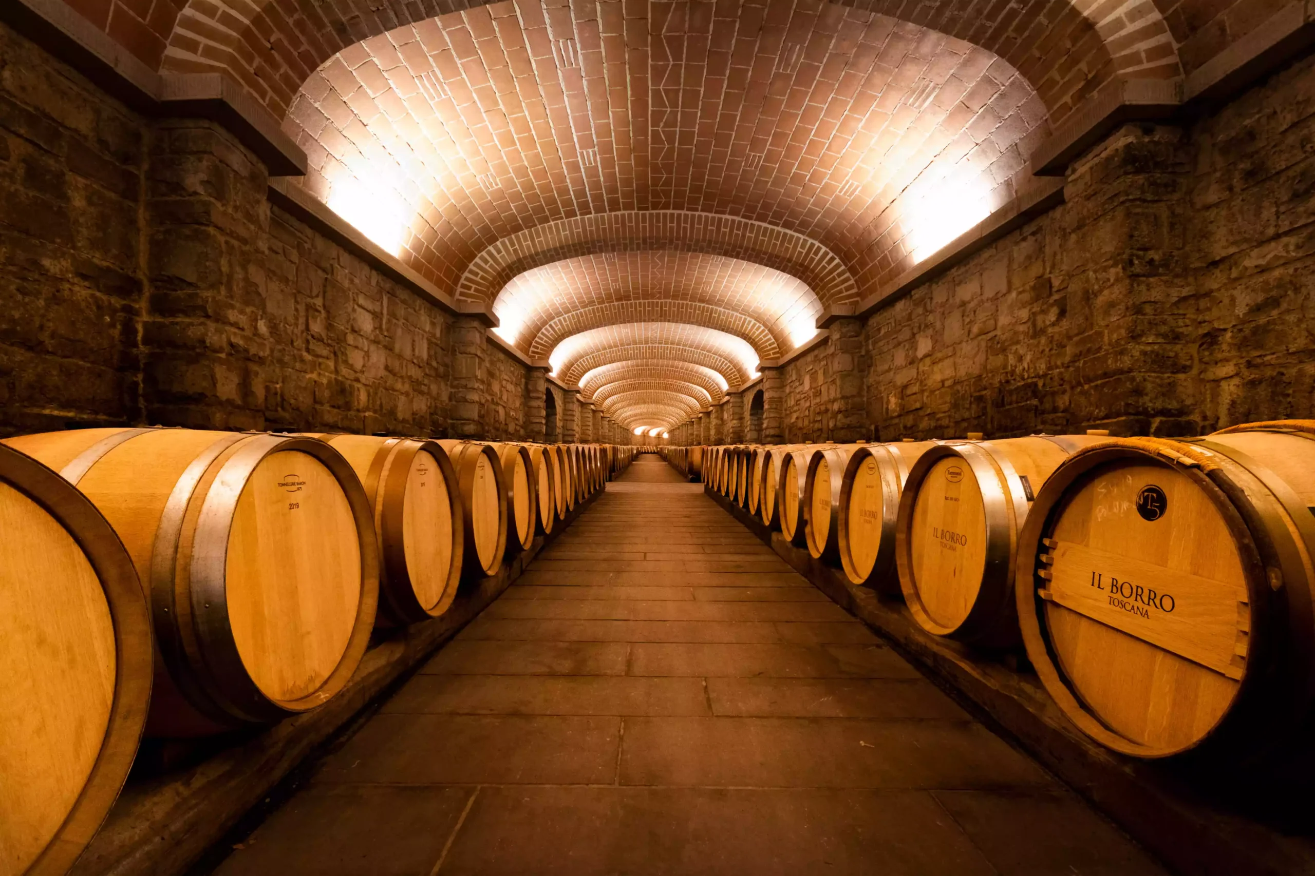 Виноградники в Тоскані Блог