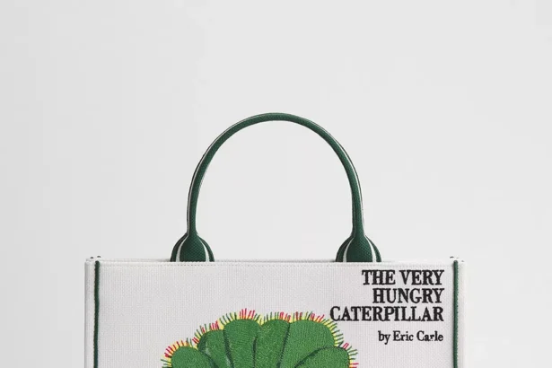 Dior Book Tote Коли Книга Стає Модою