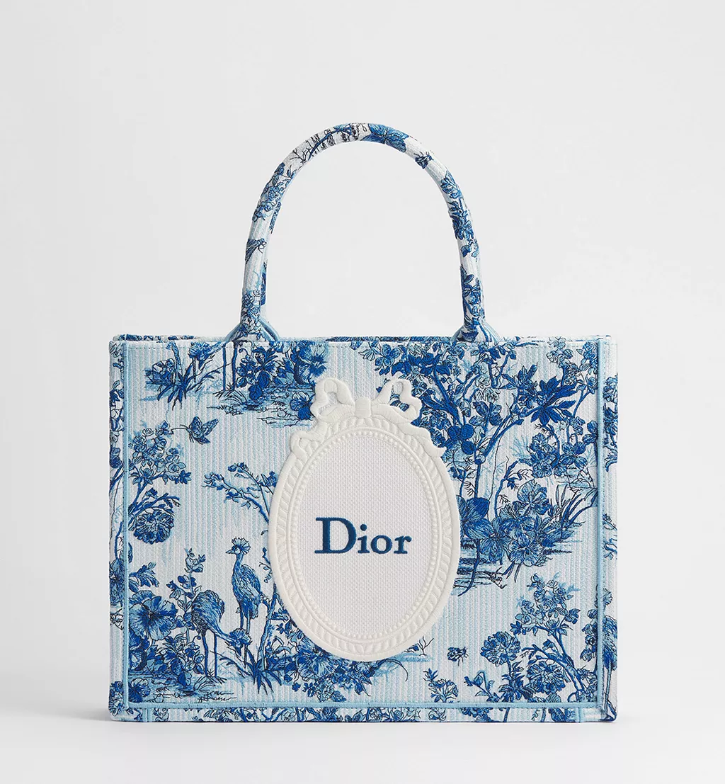 Dior Book Tote Коли Книга Стає Модою65