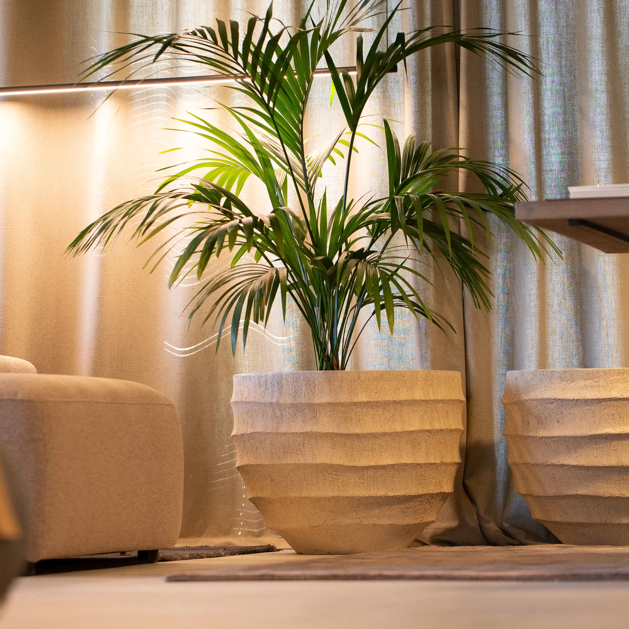 Горщики для інтер'єру XXL